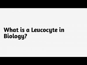 What is a Leucocyte in Biology ?