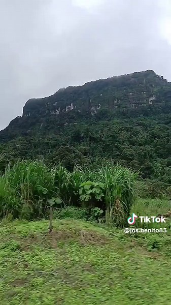 Videos de José Benito🤫🤫🤫 (@jos.benito83) con “sonido original - Jorge García”