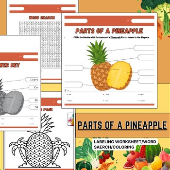 Pineapple Anatomy Diagram:Parts of a Pineapple Worksheets,Labeling,Coloring,word