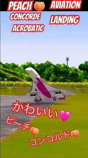 【衝撃】✅ ピーチのコンコルドが異次元すぎる着陸！アクロバティックなのにどこか可愛い？【フライトシミュレーター】ラジコン 飛行機 コンコルド 2026年5月18日