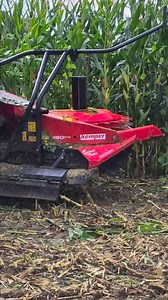 Lu Groten mit Claas Jaguar 950 und Kemper Maisgebiss Kemper Stalkbuster um die Maisstoppeln zu Schlegeln | Landwirtschaft im Kreis Coesfeld