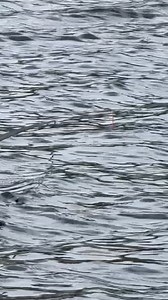 27K views · 174 reactions | TICKLE that TIP珞藍 | Catch More Media | Facebook