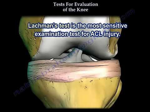 Tests For Examination Of The Knee Everything You Need To Know Dr Nabil Ebraheim