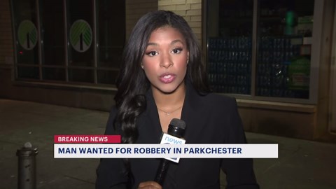 Photos released of bat-wielding thief in Parkchester robbery