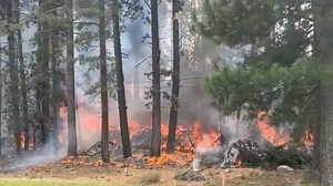 6 people killed in Truckee plane crash, cause under investigation