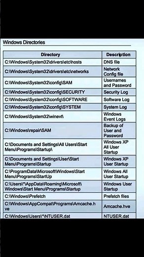 Top Windows Directories Every IT Professional Must Know | Explained for Beginners