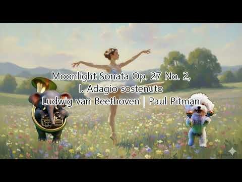 Beethoven: Moonlight Sonata Op. 27 No. 2 - I. Adagio sostenuto 🌙🎹 Paul Pitman