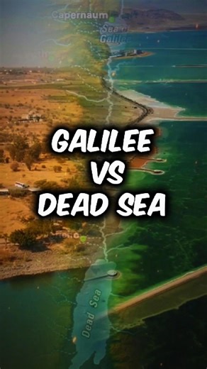 Same River… Two Completely Different Seas🌊