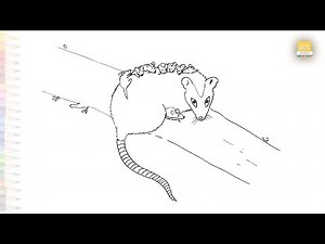 White eared Opossum with babies drawing easy | Outline sketches | How to draw A Mother Opossum