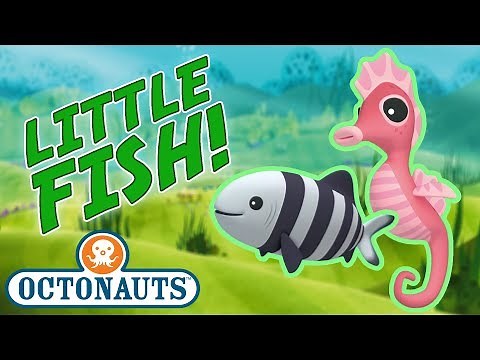 Octonauts - Learn about Little Fish | Cartoons for Kids | Underwater Sea Education