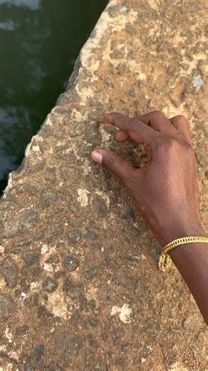 ഉറുമ്പിൽ മീൻ പിടുത്തം 🤣🐟 #shorts #fishing