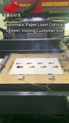 Customer Site Tour: High-Efficiency Automatic Laser Cutting System for Industrial Paper Products