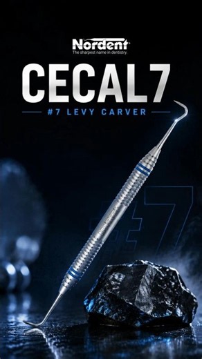 Nordent CECAL7 #7 Levy Carver With Duralite® Colorrings™ Handle