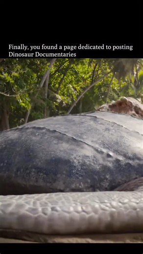 ⏰ 𝗙𝗼𝗹𝗹𝗼𝘄 𝘁𝗼 𝗴𝗼 𝗯𝗮𝗰𝗸 𝗶𝗻 𝘁𝗶𝗺𝗲 on Instagram: "Behind a giant sea turtle, the sand began to tremble. A Tyrannosaurus rex walked past, each step making the turtle flinch in terror—but she wasn’t interested in the living one. Her real target was another massive sea turtle lying stranded and already dead on the beach, its rotting smell heavy in the air. For a hungry T. rex, this was the perfect meal. She lunged in, wedging her skull under the shell and wrenching the carcass over, ex