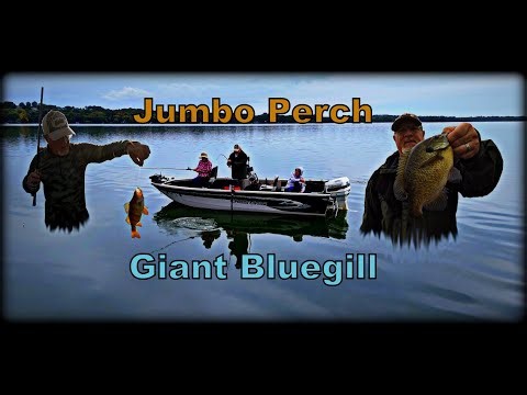 Catching Big Perch & Bluegill. Playing guide for two days.