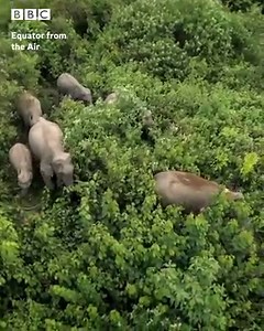 Sit back, relax and take a look at our beautiful world from above. 😍🌎 | BBC Two