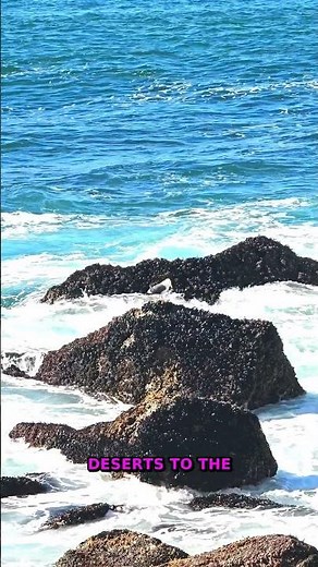 The Secret World Of Tiny Ecosystems | 75% Of Global Biodiversity