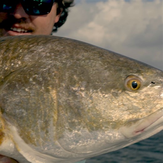 121 reactions | Built for the critical moments in saltwater fly fishing, the Moment delivers speed, control, and strength so you can make fast, accurate shots when it matters most. | TFO Rods - Temple Fork Outfitters | Facebook