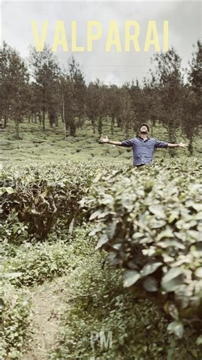 ❤️✨ #travel #shorts #valparai #reels