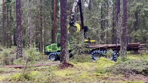 Cutting-Edge Chainsaws and Monster Log Transporters at Work