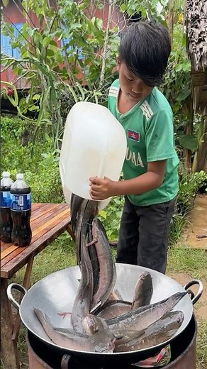 Snakehead fish cooking