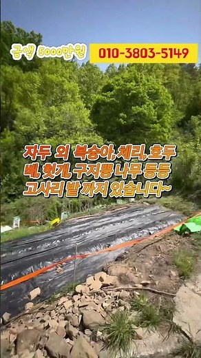 의성군 의성읍 시내에서 10분 거리 밭 매매 #의성땅매매 #의성땅 #의성군땅