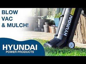 The Hyundai HYBV3000E - 3-in-1 Leaf Blower & Electric Garden Vacuum (with mulching capabilities)