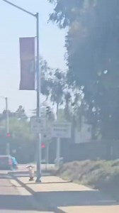 50K views · 217 reactions | So several people saw this happen today...