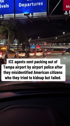 #ice #ice #iceagents #fyp #allegedly