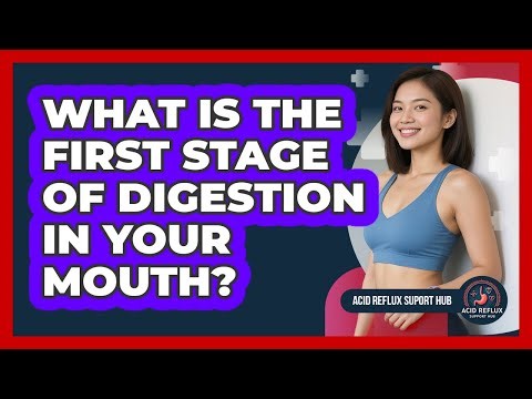 What Is The First Stage Of Digestion In Your Mouth? - Acid Reflux Support Hub