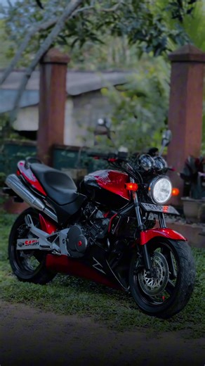 Hornet 250: The Ultimate Bike Light Guide