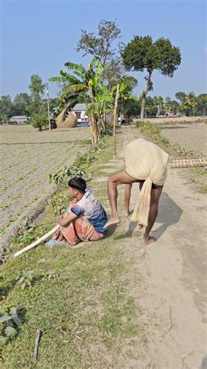 The cow gave birth to a child #funny