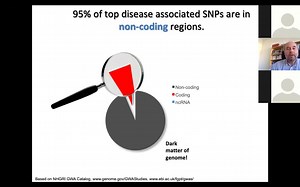 TRANSFAC®位点中的调节性单核苷酸多态性。 重症COVID-19患者与无症状患者的对比。