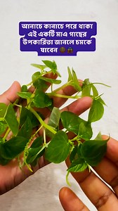 1M views · 8.7K reactions | আনাচে কানাচে পরে থাকা #tips #tipsandtricks #hacks #helpfultips | Tips & Tricks By Mitu | Facebook