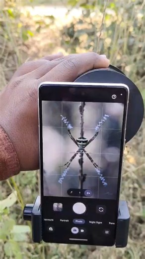 Nikon P900 Mega Macro Lens for Mobile