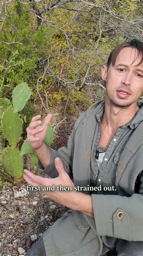 How Natives Drank Water from Desert Plants - part 1