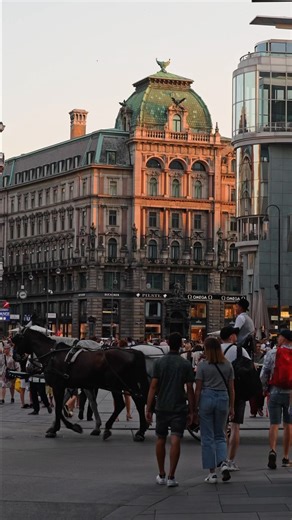 27K views · 2.9K reactions | As the sun bathes Vienna’s inner city in...