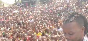 25K views · 1.9K reactions | Tas a ver nem? Mieze | Professor Lay | Facebook