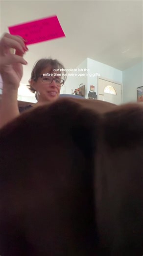 Chocolate Lab's Hilarious Gift Opening Antics