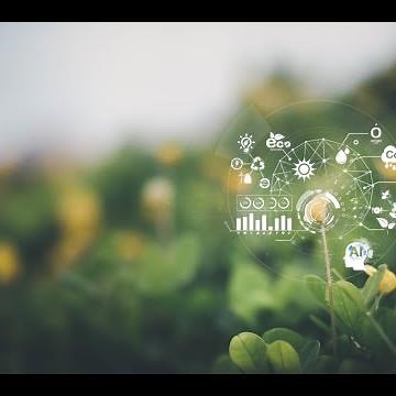Certification for Food Sustainability