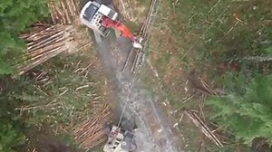 25K views · 267 reactions | Drone footage of a timber operation on Bureau of Land Management land in Western Oregon. The thinning prescription on this 40 year old stand, designed to improve forest health and wood fiber to support local communities, left approximately 65 trees per acre. | Healthy Forests, Healthy Communities | Facebook
