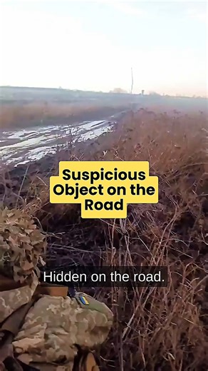 Unexpected Find on a Rural Road #dronefootage #waitingdrone #fieldview #militarytechnology