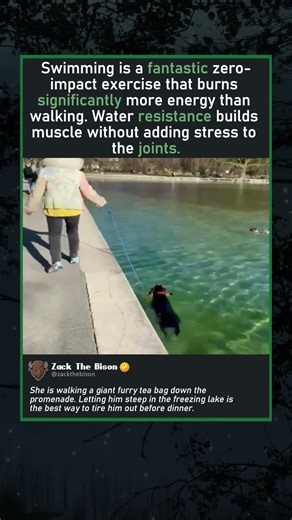 STEEPING THE FURRY TEA BAG