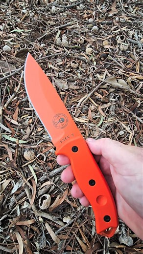 ESEE-5 Essential Survival Tool or Just Heavy? ​#SurvivalKnife​#Bushcraft #FixedBlade​ #HardUseKnife