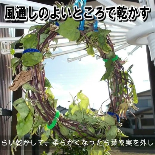 How to Make a Morning Glory Wreath by Yourself!🌿 So Easy Even Elementary School Kids Can Do It! P...
