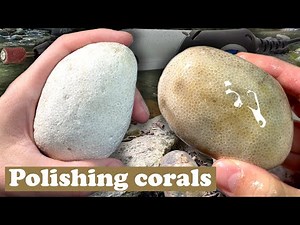 Can i polish fossilised corals with basic tools?