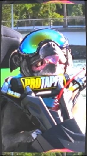 This felt like a reasonable way to commute on my first day back. | Pit Viper Australia | Facebook