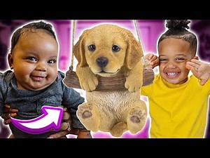 SURPRISING NOVA WITH A NEW PUPPY 💕