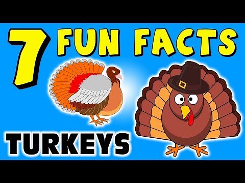 7 FUN FACTS ABOUT TURKEYS! TURKEY FACTS FOR KIDS! Thanksgiving! Learning Colors! Funny! Sock Puppet!