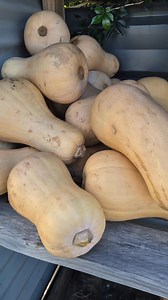 New sign up ! 😁 He loved my surprise ❤️ | Leo's Little Shop